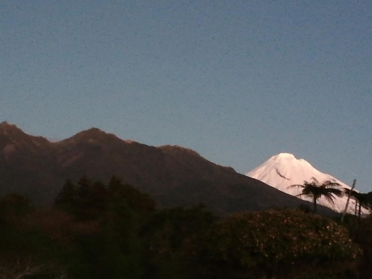 Patuha Rainforest Retreat Okato エクステリア 写真